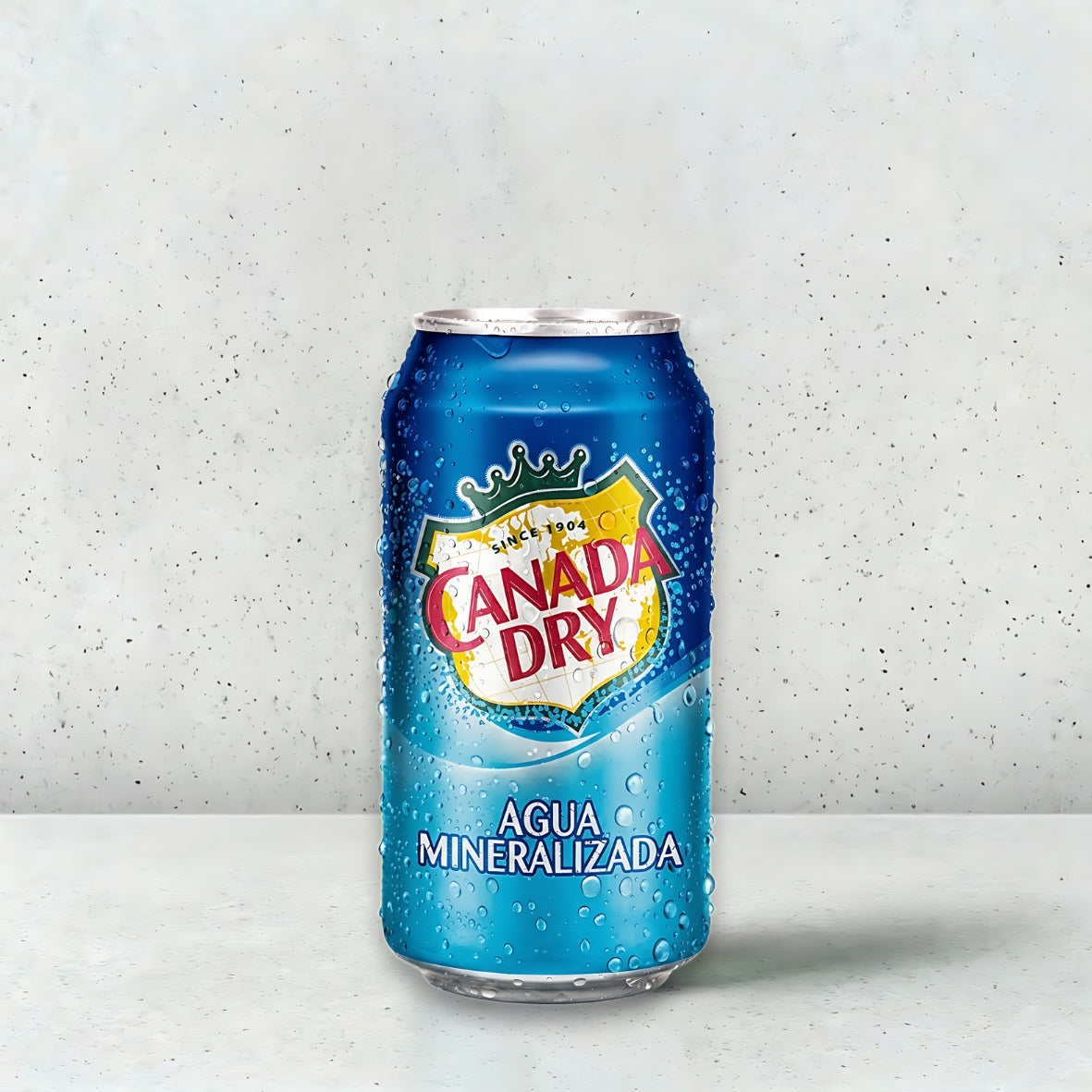 Refresco lata canada dry 355ml